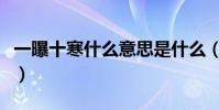 一曝十寒什么意思是什么(一曝十寒什么意思)