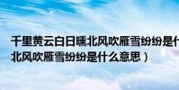 千里黃云白日曛北風吹雁雪紛紛是什么詩(千里黃云白日曛北風吹雁雪紛紛是什么意思)