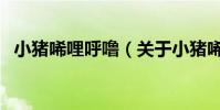 小豬唏哩呼嚕(關于小豬唏哩呼嚕的介紹)