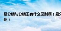 易分銷與分銷王有什么區別啊(易分銷與分銷王有什么區別啊)