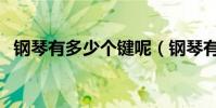 鋼琴有多少個鍵呢(鋼琴有多少個琴鍵啊)