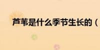 蘆葦是什么季節生長的(蘆葦是什么?)