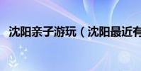 沈陽親子游玩(沈陽最近有哪些親子活動)