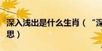 深入淺出是什么生肖(“深入淺出”是什么意思)