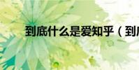 到底什么是愛知乎(到底什么是愛)