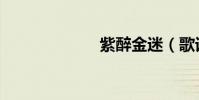 紫醉金迷(歌詞)
