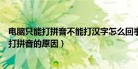 電腦只能打拼音不能打漢字怎么回事(電腦打不出漢字只能打拼音的原因)