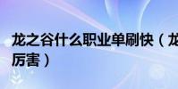 龍之谷什么職業單刷快(龍之谷什么職業單刷厲害)