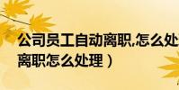 公司員工自動離職,怎么處理(公司員工擅自離職怎么處理)