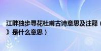 江畔獨步尋花杜甫古詩意思及注釋(杜甫的《江畔獨步尋花》是什么意思)