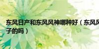 東風日產和東風風神哪種好(東風風神和東風日產是一個牌子的嗎)