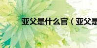 亞父是什么官(亞父是什么意思)