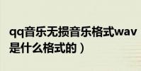 qq音樂無損音樂格式wav(QQ音樂無損音樂是什么格式的)
