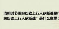 清明時節雨紛紛路上行人欲斷魂是什么節日(“清明時節雨紛紛路上行人欲斷魂”是什么意思)