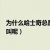為什么哈士奇總是汪汪的叫（我家的哈士奇為什么不會汪汪叫呢）