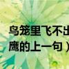 鳥籠里飛不出雄鷹的上一句（鳥籠里飛不出雄鷹的上一句）