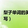 梨子單詞的英語怎么說（梨子的英語單詞怎么寫）
