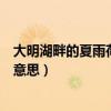 大明湖畔的夏雨荷是什么意思啊（大明湖畔的夏雨荷是什么意思）