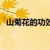 山菊花的功效作用（山菊花的功效有哪些）