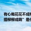 有心栽花花不成柳柳成蔭什么意思（“有心栽花花不開無心插柳柳成蔭”是什么意思）