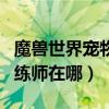 魔獸世界寵物對戰訓練（魔獸世界寵物對戰訓練師在哪）