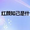 紅顏知己是什么意思（紅顏知己是什么意思）