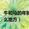 牛和馬的年輪長在哪里（牛、馬的年輪長在什么地方）