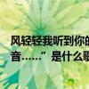 風輕輕我聽到你的聲音歌詞（歌詞里有“風輕輕我聽見你聲音……”是什么歌）