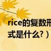 rice的復數形式是什么怎么寫（rice的復數形式是什么?）