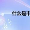 什么是市盈率（什么是市盈率啊?）