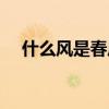 什么風是春風（什么的春風什么的春風）