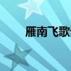 雁南飛歌詞刀郎（雁南飛歌詞謝謝）