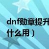 dnf勛章提升（DNF逆襲之谷中得到的勛章有什么用）