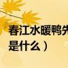春江水暖鴨先知意思是（春江水暖鴨先知意思是什么）