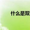 什么是雙回路暖氣（什么是雙回路）