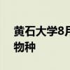 黃石大學8月3日UW研究中心演講中的入侵物種