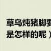 草烏燉豬腳要煮多少時間（草烏燉豬腳的做法是怎樣的呢）