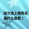 如今池上有鳳毛（“池上于今有鳳毛”這句話中的“鳳毛“是什么意思）