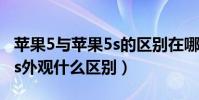 蘋果5與蘋果5s的區別在哪里(蘋果5和蘋果5s外觀什么區別)