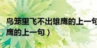 鳥籠里飛不出雄鷹的上一句(鳥籠里飛不出雄鷹的上一句)