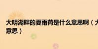 大明湖畔的夏雨荷是什么意思啊(大明湖畔的夏雨荷是什么意思)