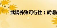 武鋼養豬可行性(武鋼養豬做什么)