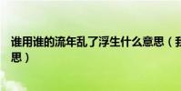 誰用誰的流年亂了浮生什么意思(我拿流年亂了浮生是啥意思)