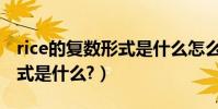 rice的復數形式是什么怎么寫(rice的復數形式是什么?)