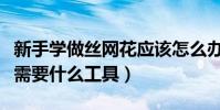 新手學做絲網花應該怎么辦(想學做絲網花都需要什么工具)