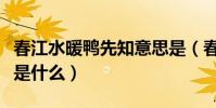 春江水暖鴨先知意思是(春江水暖鴨先知意思是什么)