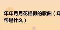 年年月月花相似的歌曲(年年月月花相似下一句是什么)