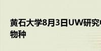 黃石大學8月3日UW研究中心演講中的入侵物種