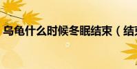 烏龜什么時候冬眠結束(結束后有哪些表現)