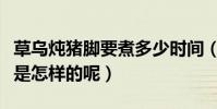 草烏燉豬腳要煮多少時間(草烏燉豬腳的做法是怎樣的呢)